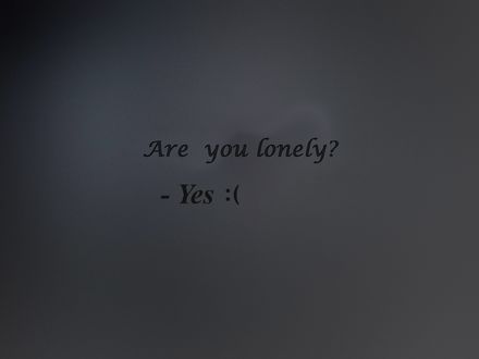 Обои на рабочий стол На сером фоне надпись (Are you lonely? -Yes :()