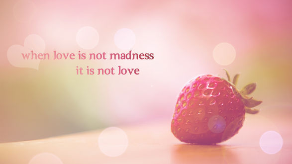Обои на рабочий стол When love is not madness, it is not love / Когда в любви нет безумия, это не любовь