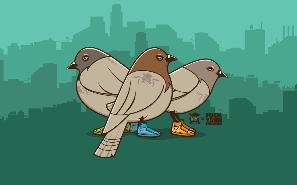 Обои для рабочего стола Голуби в цветастых модных кроссовках (fuck your sneakers, death from above)
