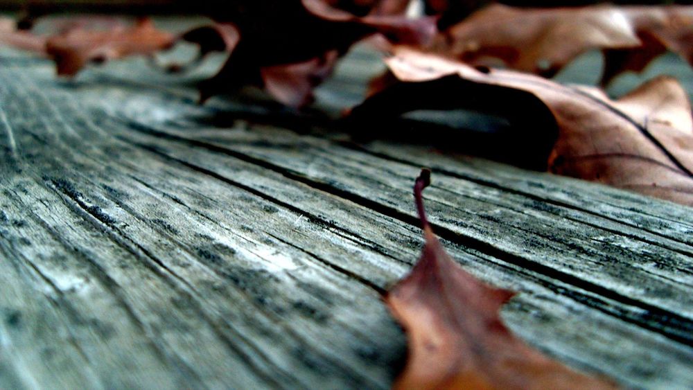 Обои для рабочего стола Сухие осенние листья на деревянной поверхности