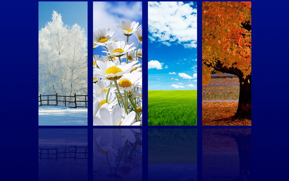 Обои для рабочего стола Иконки времен года: Зима, Весна, Лето, Осень