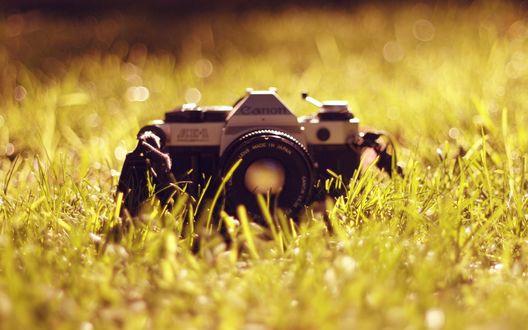 Обои на рабочий стол Фотоаппарат Canon / Кэнон в траве
