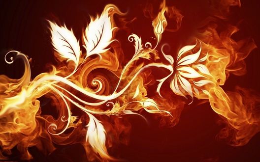 Обои на рабочий стол Цветок, овеянный языками пламени