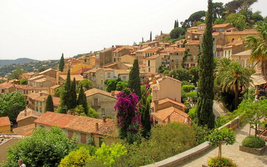 Обои на рабочий стол Утро в Провансе / Provence (юго-восток Франции)
