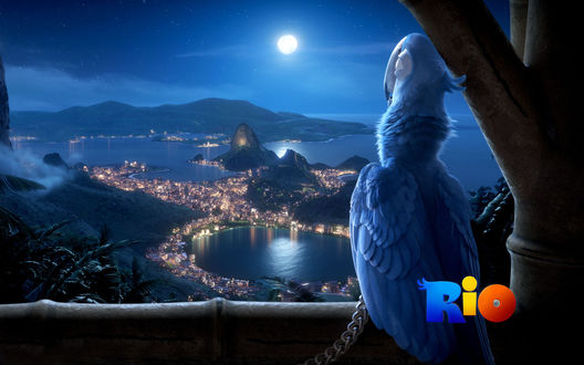 Обои на рабочий стол Персонаж мультфильма Рио / Rio Голубчик / Blu смотрит на ночной Рио-де-Жанейро / Rio de Janeiro, озаренный лунным светом