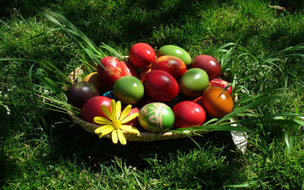 Обои для рабочего стола Красивые, разноцветные яйца лежат в тарелке на траве