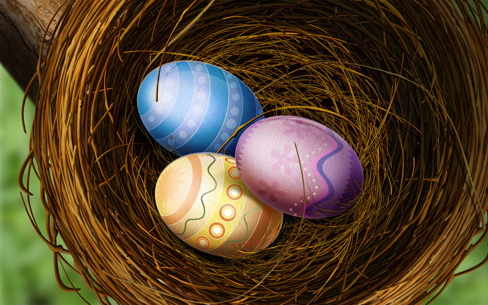 Обои для рабочего стола Три разноцветных яичка лежит в гнезде на дереве