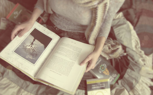 Обои на рабочий стол Девушка читает книги