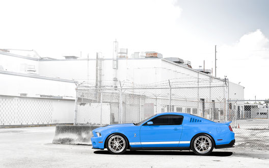 Обои на рабочий стол Синий Ford Mustang / Форд Мустанг около завода