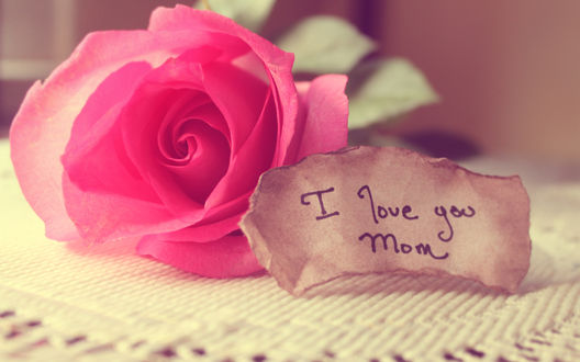 Обои на рабочий стол Нежная розовая роза на скатерти с запиской *I love you mom / Я люблю тебя, мама*