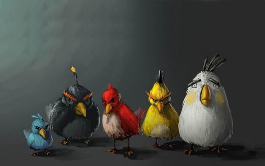 Обои на рабочий стол Птицы из игры Angry Birds