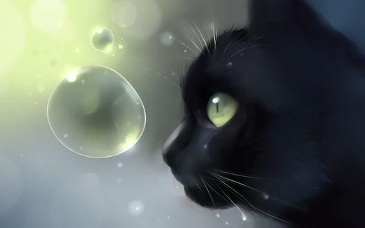 Обои на рабочий стол Черный кот смотрит на мыльный пузырь (art by Apofiss)