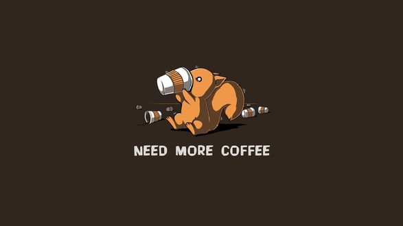 Обои на рабочий стол Белка пьет кофе, вокруг валяются пустные стаканы (Need more coffee / Нужно больше кофе)
