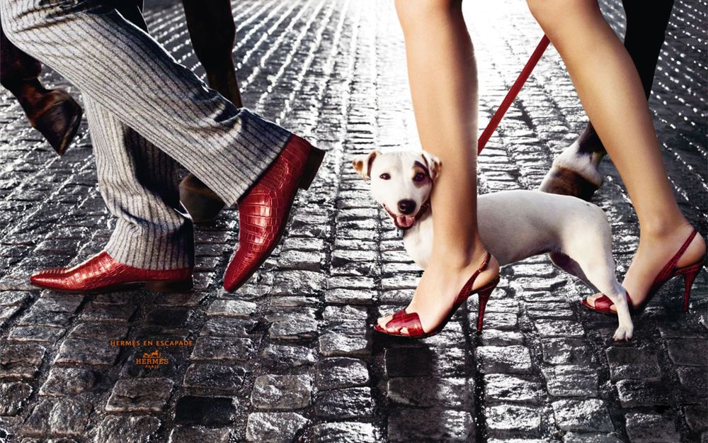 Обои для рабочего стола Мужчина и женщина с собакой на поводке, идут по мощеной улице в обуви Hermes
