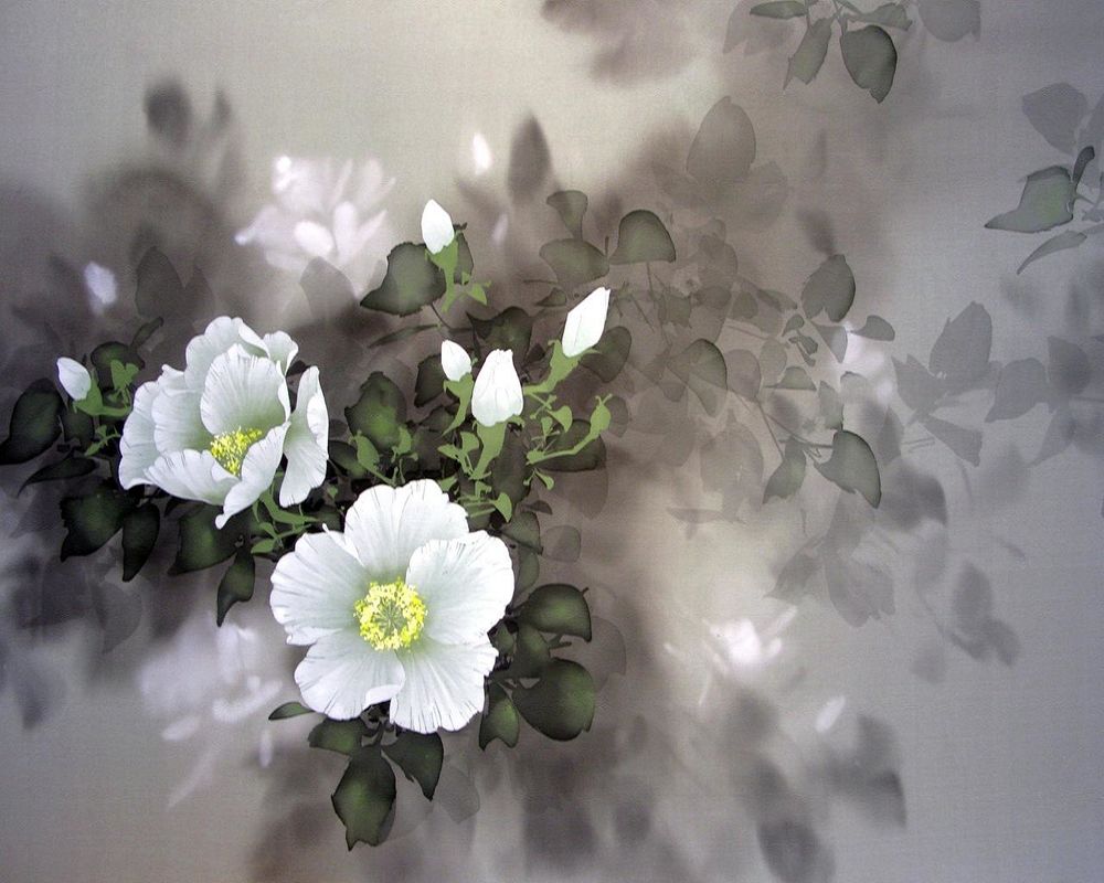 Обои для рабочего стола Художник David Lee / Белые цветы 