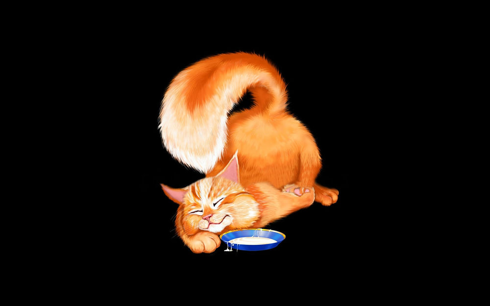 Обои для рабочего стола Довольный рыжий кот заснул возле миски с молоком