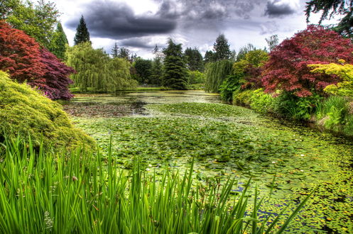 Обои на рабочий стол Ботанический сад Ван Дусена, Ванкувер, Канада / Van Dusen Botanical, Vancouver, Canada