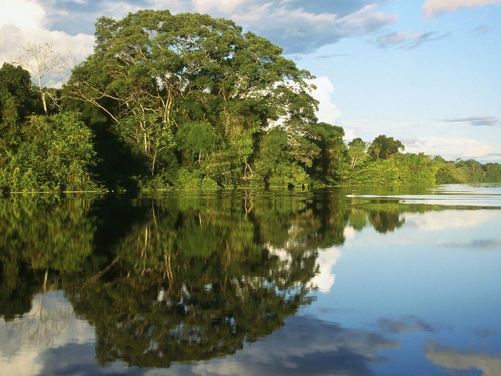 Обои для рабочего стола Узкое место в реке Амазонке / Amazonas