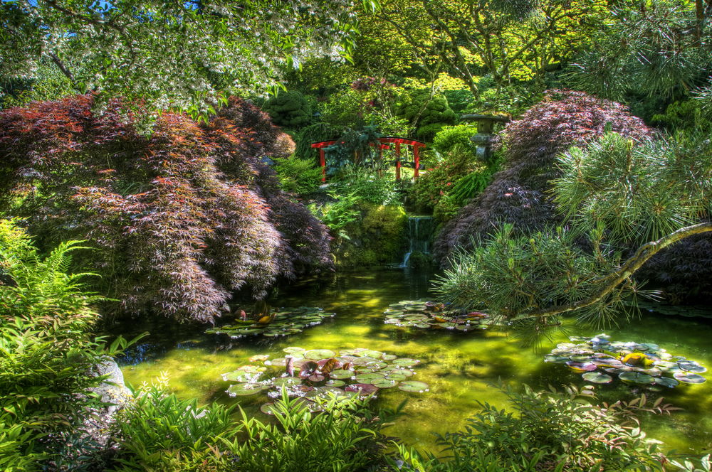 Обои для рабочего стола Сады Бушарт, Канада / The Butchart Gardens, Victoria, BC, Canada