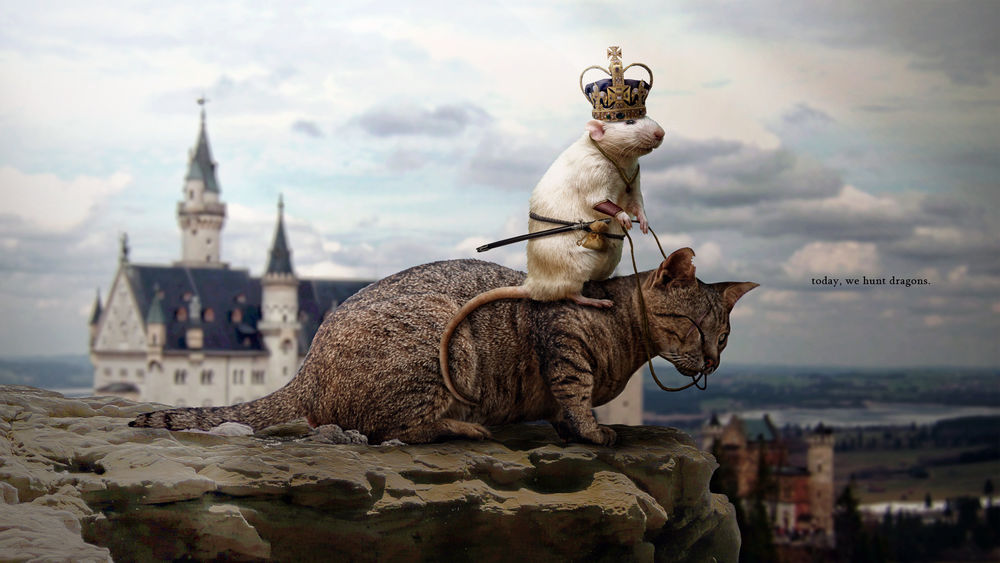 Обои для рабочего стола Мышки королевства взяли верх над кошками, белая мышь в королевской короне оседлала кота (today, we hunt dragons)