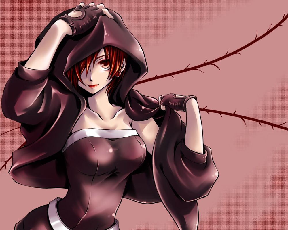 Обои для рабочего стола Вокалоид Сакине Мейко / Vocaloid Sakine Meiko, одетая в кофту с капюшоном