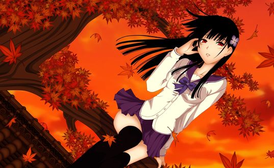 Обои на рабочий стол Рэа Санка / Sanka Rea из аниме Sankarea / Санка Рэа сидит на ветке дерева