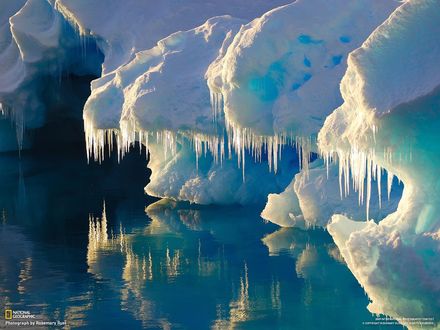 Обои на рабочий стол Ледники со свисающими с них сосульками над водой (National Geographiс, Photograph by Rosemary Rust)