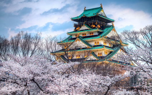 Обои на рабочий стол Замок в Нагойе / Nagoya Castle в саду с цветущей сакурой, Япония / Japan