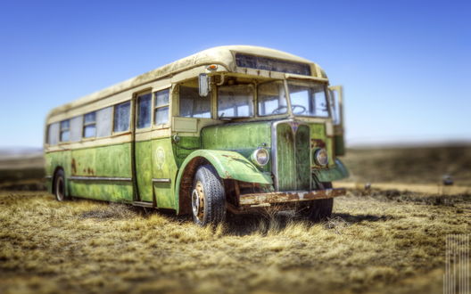 Обои на рабочий стол Заброшенный зеленый школьный автобус в поле