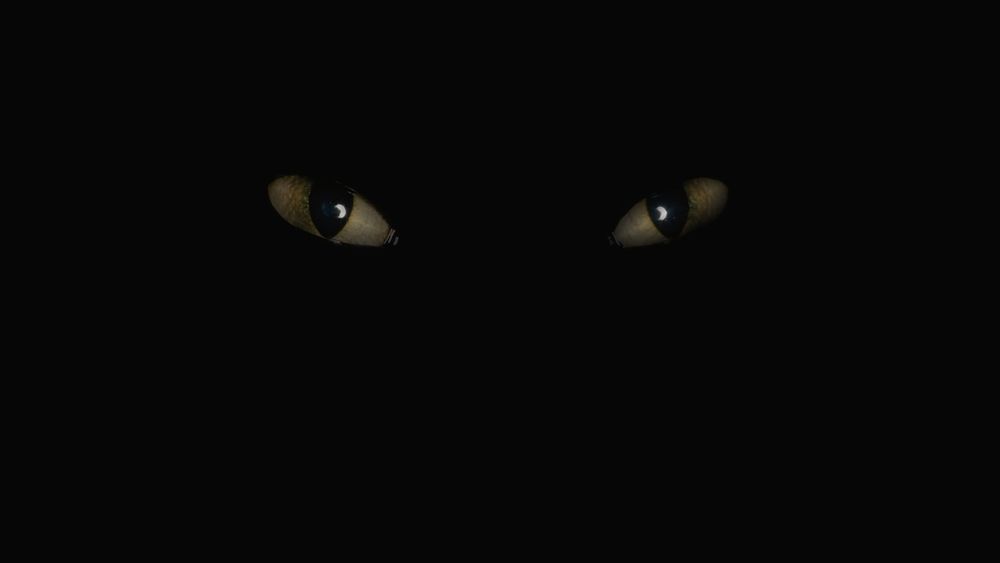 Глаза кошки в темноте - картинки и фото жк-вершина-сайт.рф