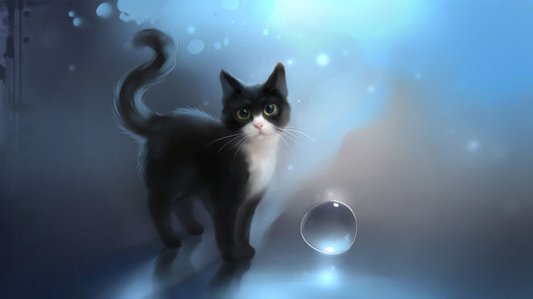 Обои на рабочий стол Черно-белый котик стоит рядом с пузырьком ( art by Apofiss )