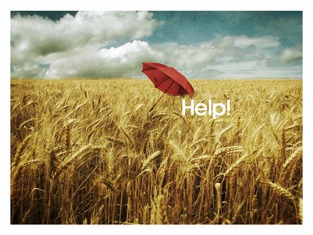 Обои на рабочий стол Красный зонт в пшеничном поле (HELP! / Помогите! )
