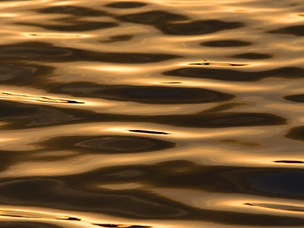 Обои на рабочий стол Спокойная гладь морской воды цвета золота