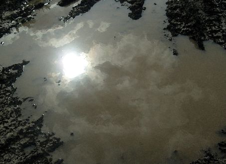 Обои на рабочий стол Отражение солнца в луже
