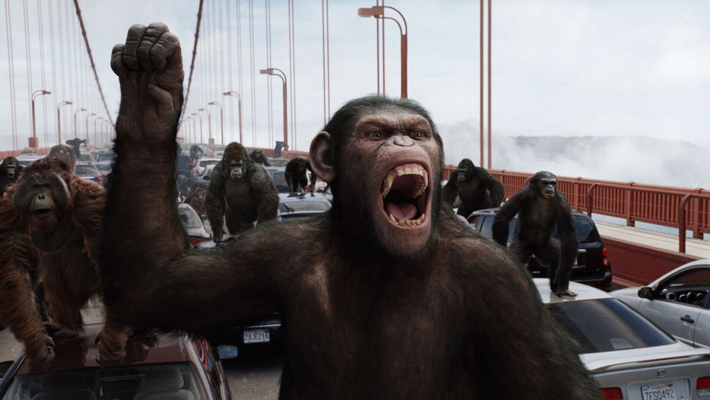 Обои для рабочего стола Разъяренные обезьяны на мосту среди машин, фильм 'Восстание планеты обезьян' / 'Rise of the Planet of the Apes'