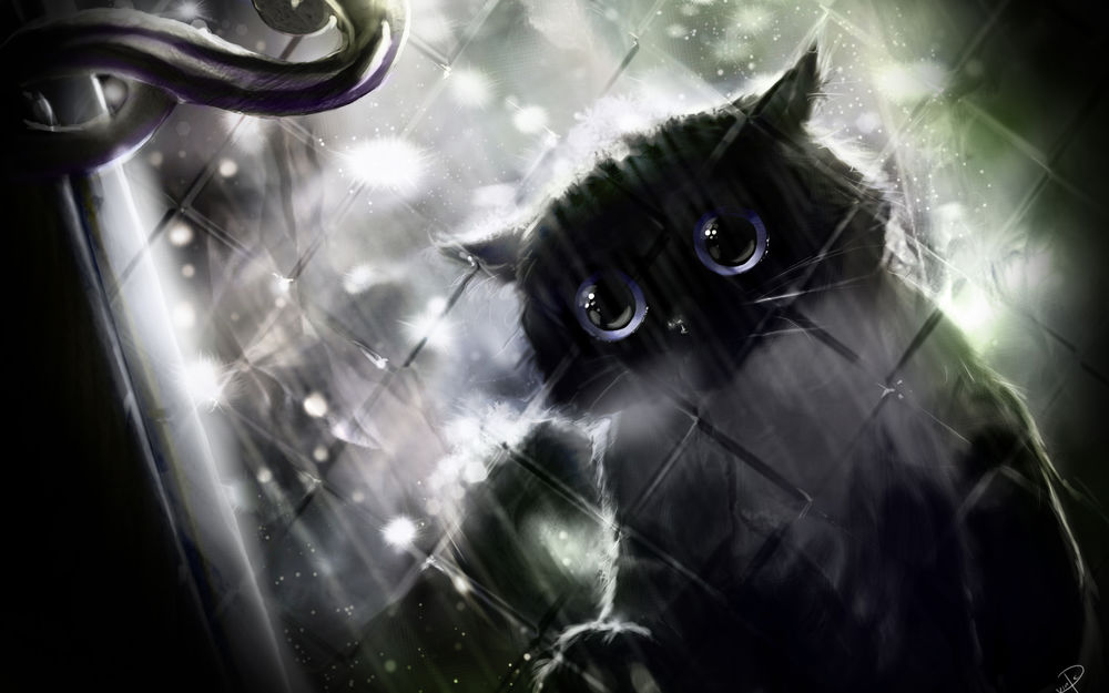 Обои для рабочего стола Черный котик смотрит в окно, за которым идёт дождь (art by Apofiss)