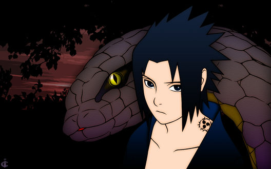 Обои на рабочий стол Uchiha Sasuke / Саске Учиха из аниме Наруто / Naruto со змеёй