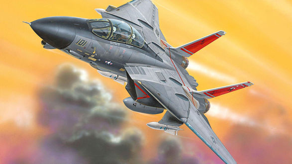 Обои на рабочий стол В воздушном пространстве Ирана самолет Grumman F-14 Tomcat / Грумман F-14 Томкэт' - двухместный реактивный истребитель-перехватчик производства корпорации Grumman Corporation США