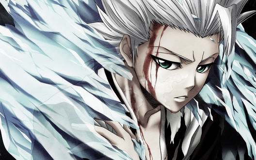 Обои на рабочий стол Раненный в бою Тоширо Хитсугая / Toshiro Hitsugaya из аниме Блич / Bleach