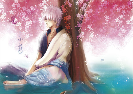 Обои на рабочий стол Саката Гинтоки из аниме 'Gintama'  сидит в воде,  облокотившийся на сакуру