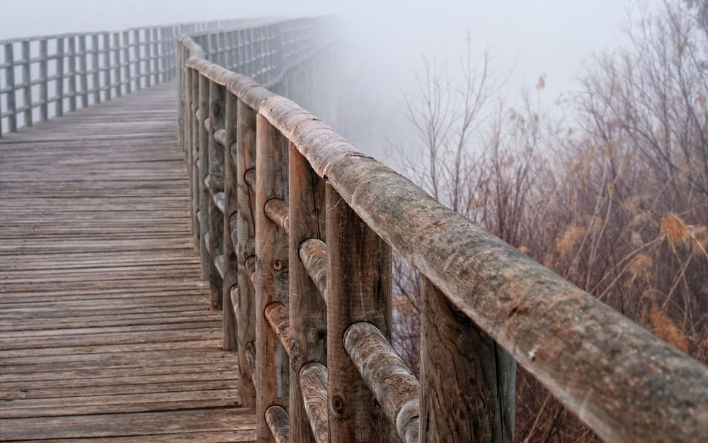 Обои для рабочего стола Мост с толстыми деревянными перилами, уходящий в туман вдоль сухих кустов