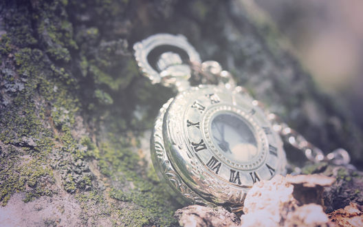 Обои на рабочий стол Часы-подвеска лежат у подножия дерева