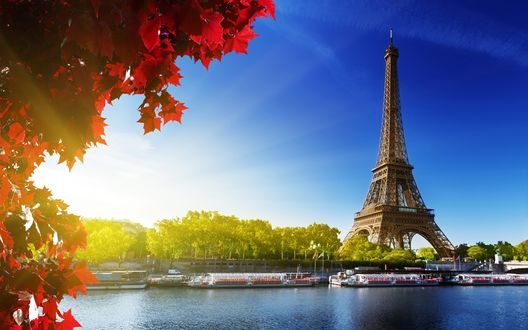 Обои на рабочий стол Eiffel Tower / Эйфелева башня на фоне красных кленовых листьев и ярко-голубого неба,  Paris / Париж, France / Франция
