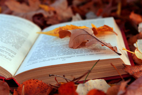 Обои на рабочий стол Раскрытая книга лежит среди красно-желтых осенних листьев