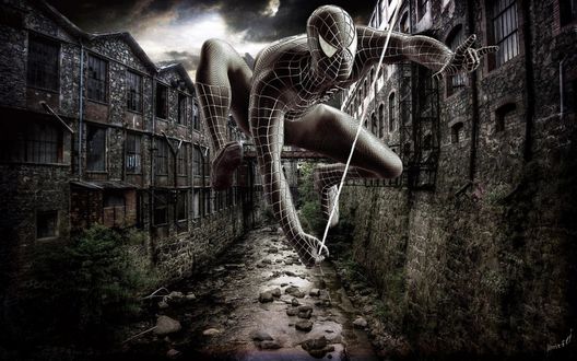 Обои на рабочий стол Человек паук / Spider Man среди серых заброшенных зданий