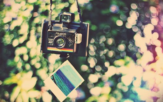 Обои на рабочий стол Фотоаппарат Polaroid / Полароид и снимок моря