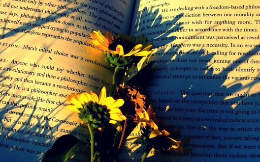 Обои на рабочий стол Цветы лежат на раскрытой книге