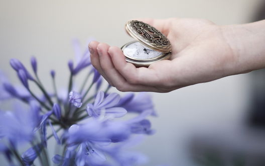 Обои на рабочий стол Девушка держит в руке карманные часы на фоне сиреневого цветка