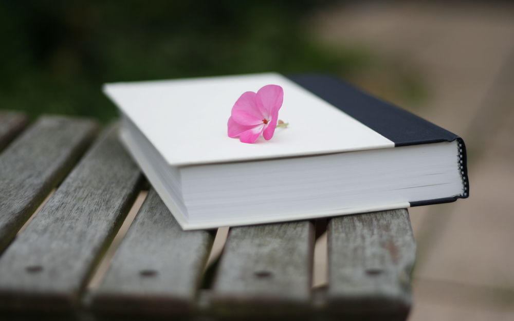 Обои для рабочего стола Забытая книга на лавочке, на которой лежит розовый цветок