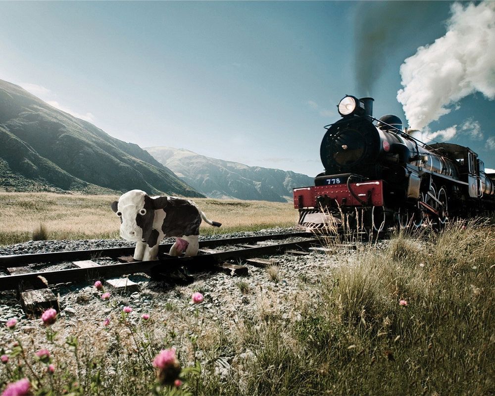Обои для рабочего стола Игрушечная корова стоит на настоящей железной дороге, преграждая путь идущему паровозу